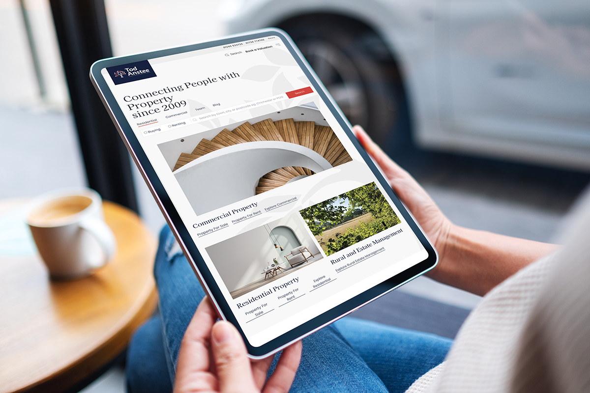 Todd Anstee website project